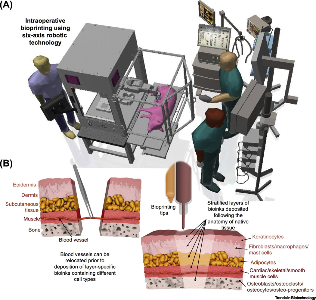 Figure 2,