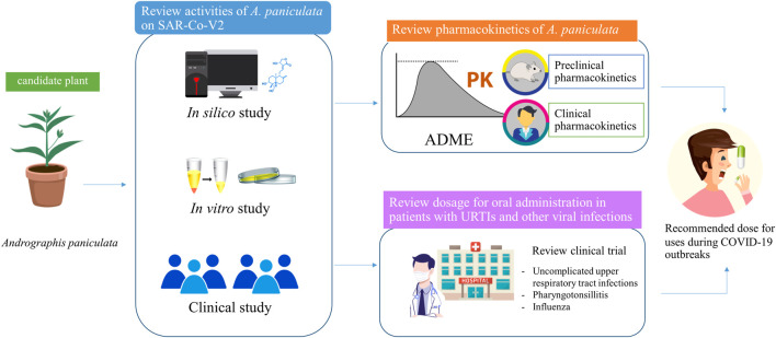 graphic file with name FPHAR_fphar-2022-952660_wc_abs.jpg