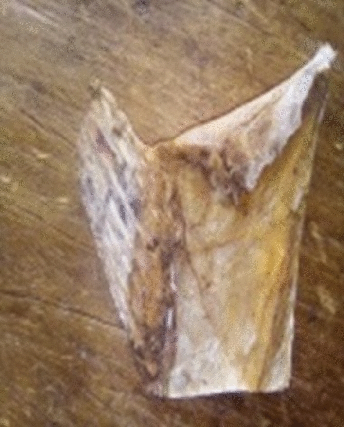Fig. 11
