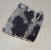 Fig. 12