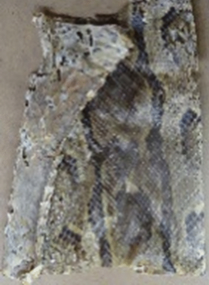 Fig. 7