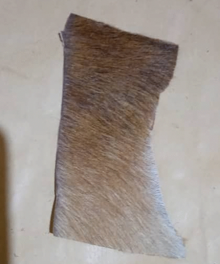 Fig. 4