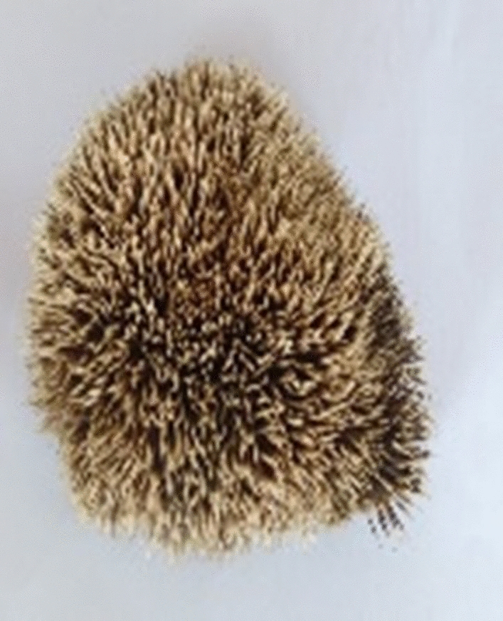 Fig. 10