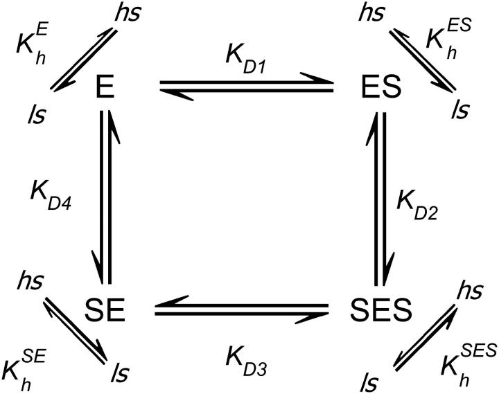 graphic file with name biophysj00058479S01_LW.jpg