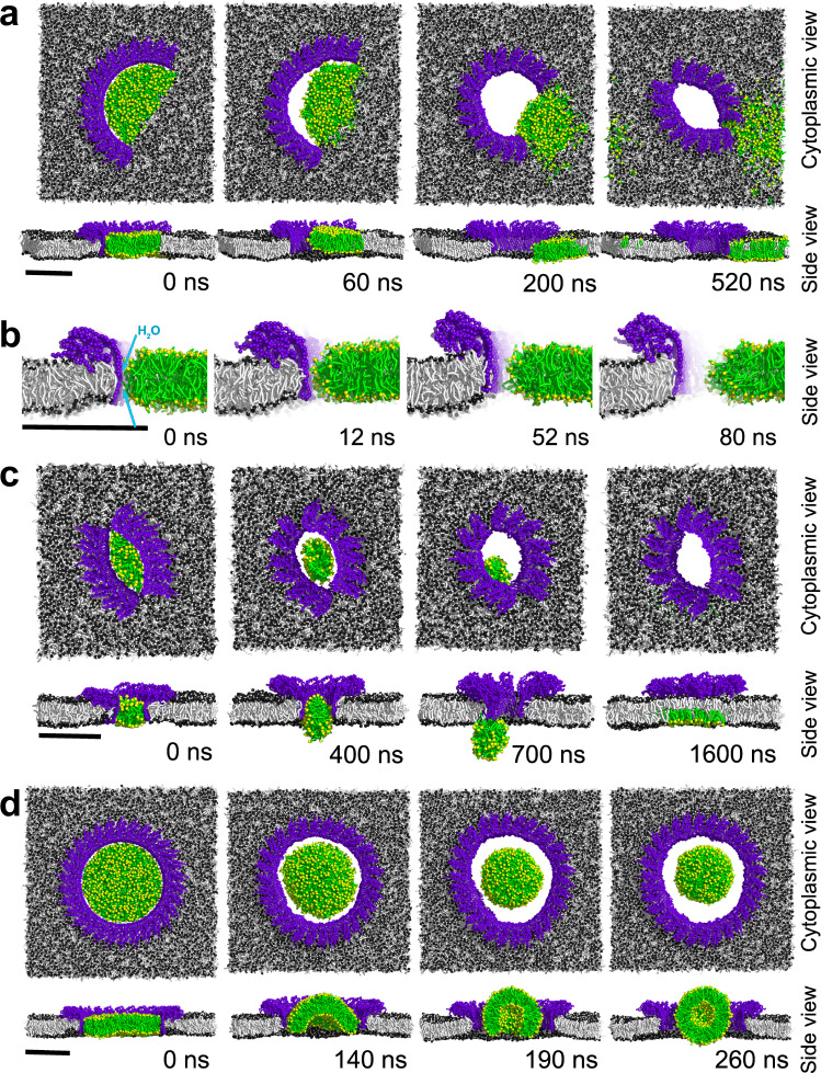 Fig. 7