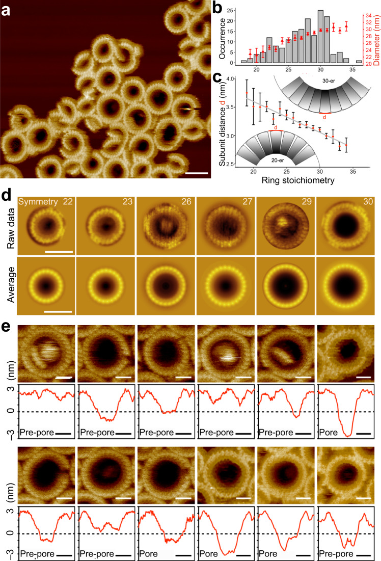 Fig. 4