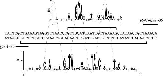 FIG. 6.