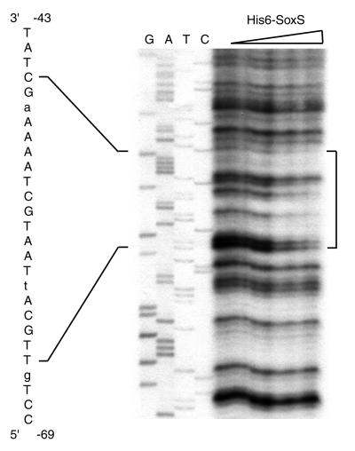 FIG. 5.