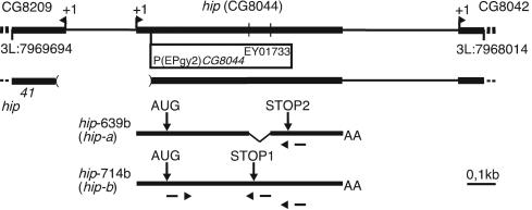 Fig. 1.