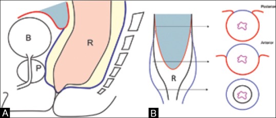 Figure 3 (A and B)