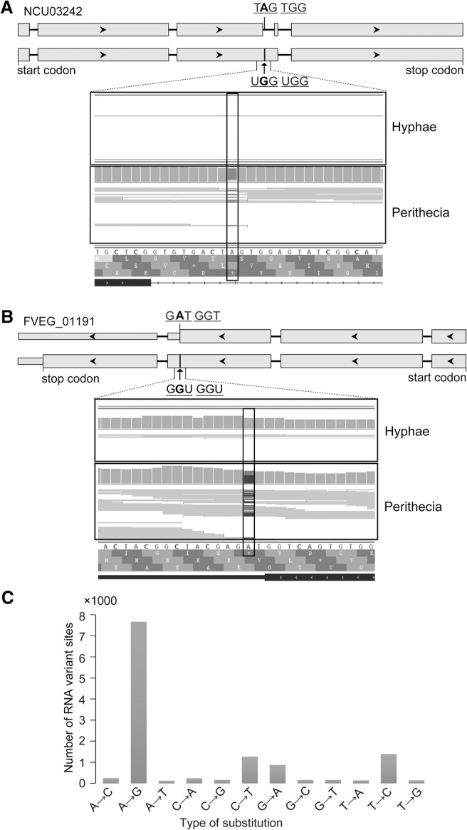 Figure 6.