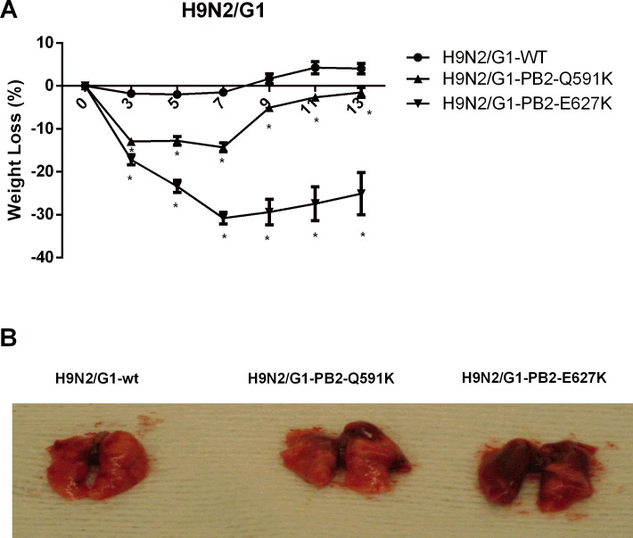 Fig 3