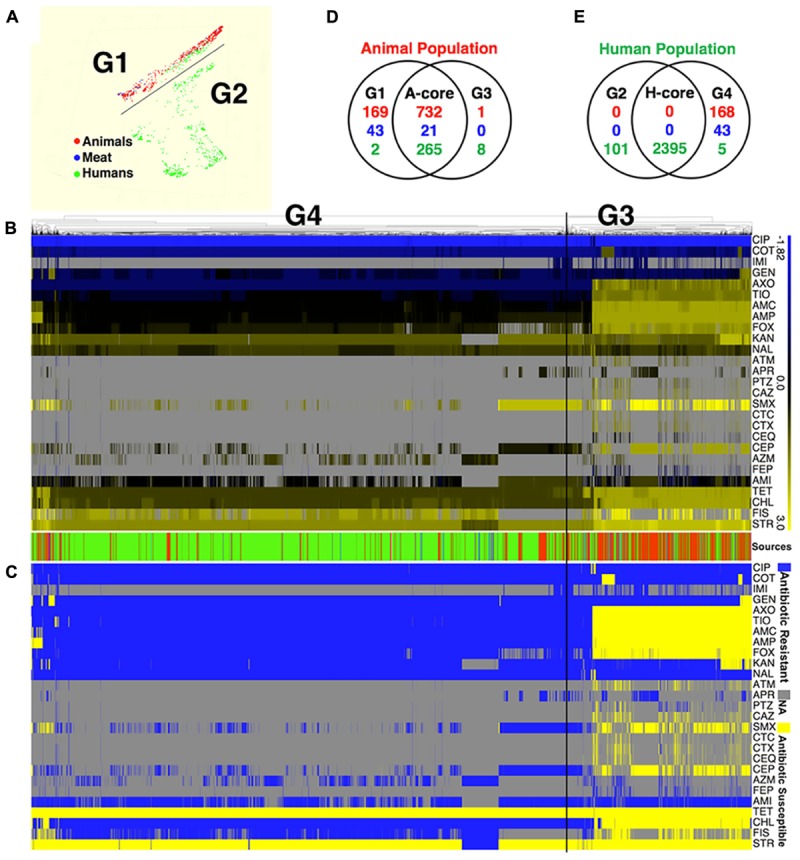 FIGURE 1