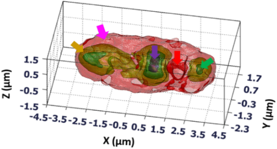 Figure 6