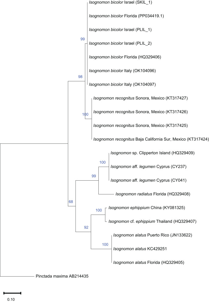 Figure 10