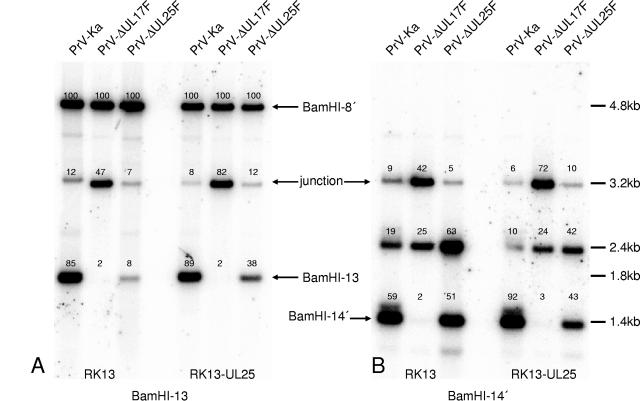 FIG. 6.