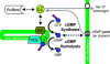 F<sc>igure</sc> 2.