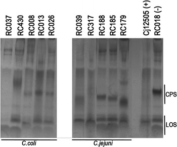 Figure 5