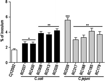 Figure 4