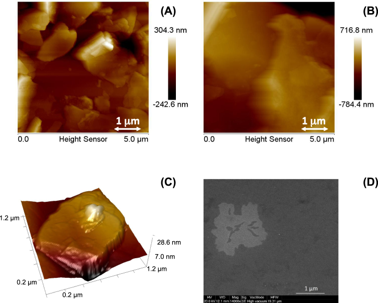 Figure 5