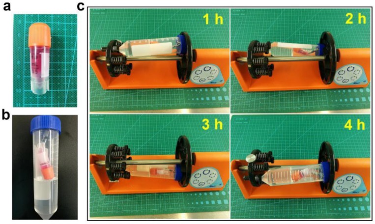 Figure 11