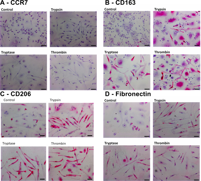 Fig 6