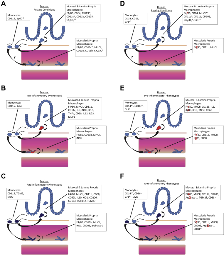 Figure 2