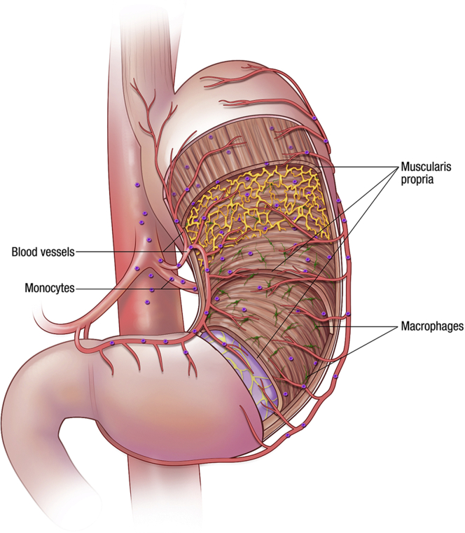 Figure 1