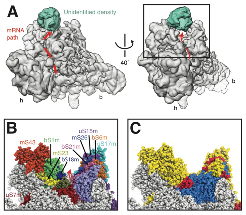 Fig. 4