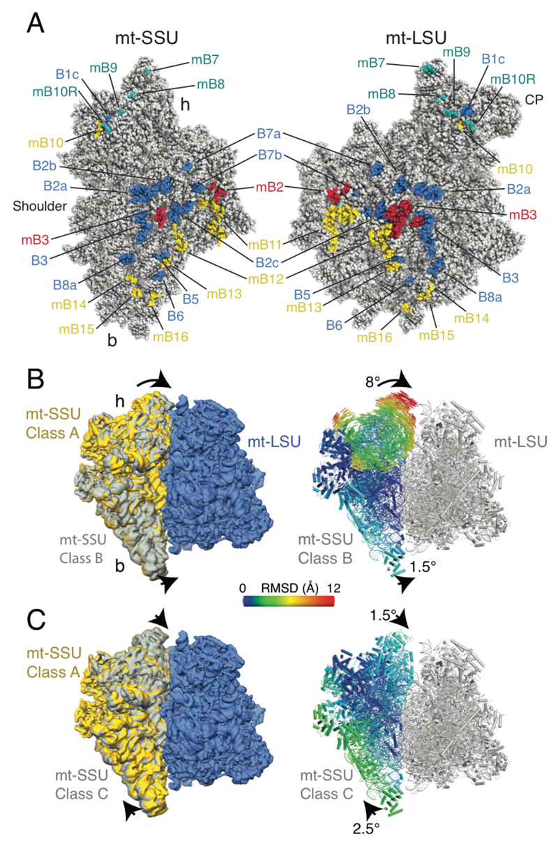 Fig. 3