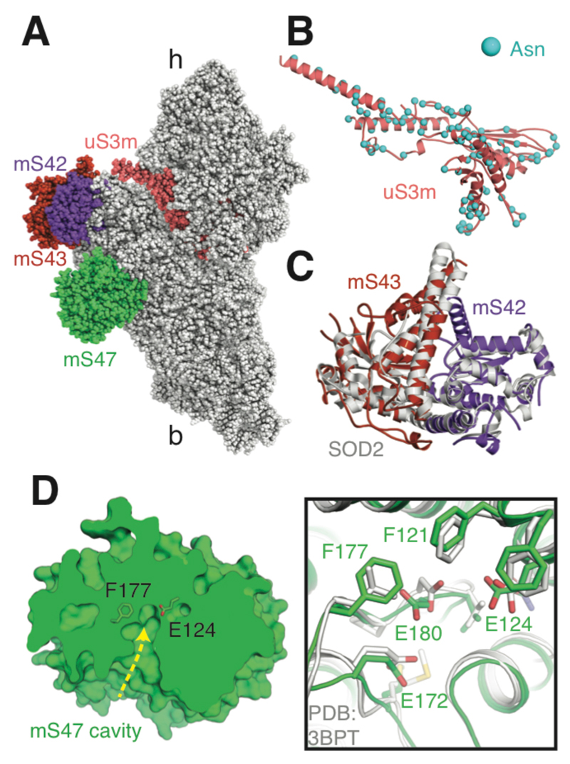 Fig. 2