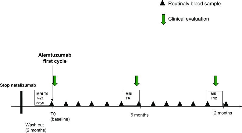 Fig. 1