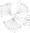 Fig 5