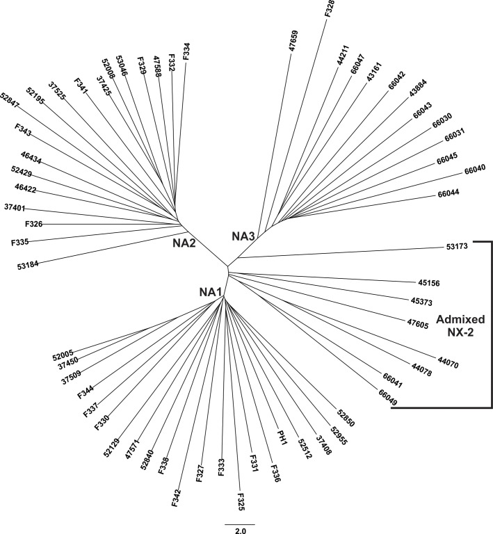 Fig 5