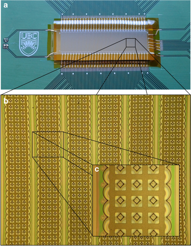 Fig. 2