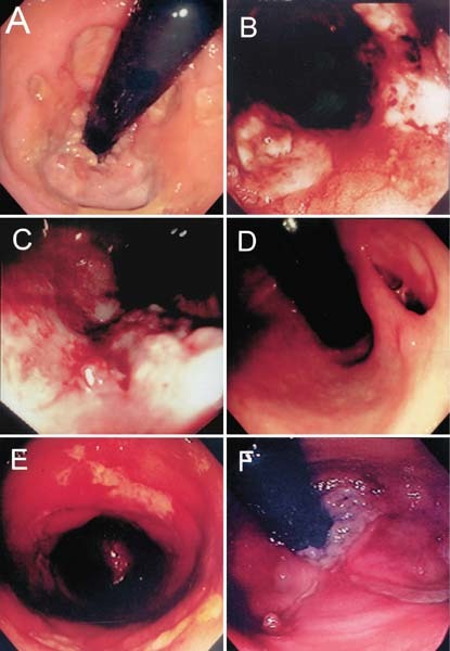 Fig. 1.