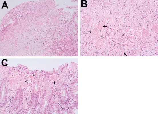 Fig. 2.