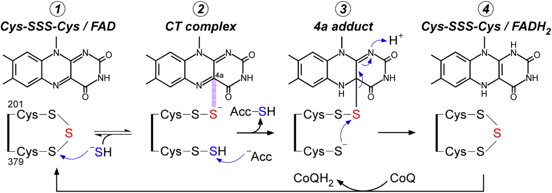 Figure 5.