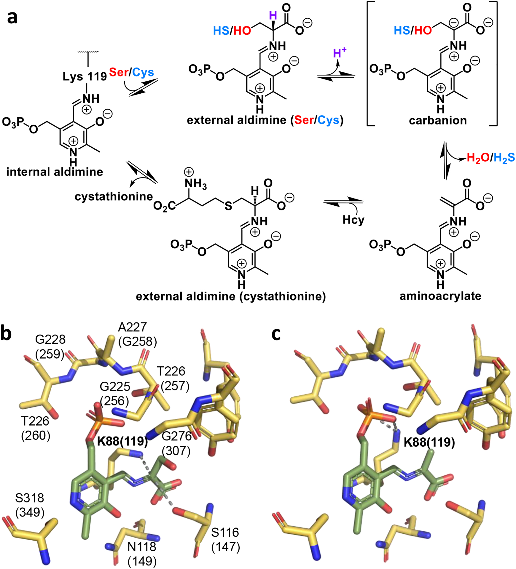 Figure 3.