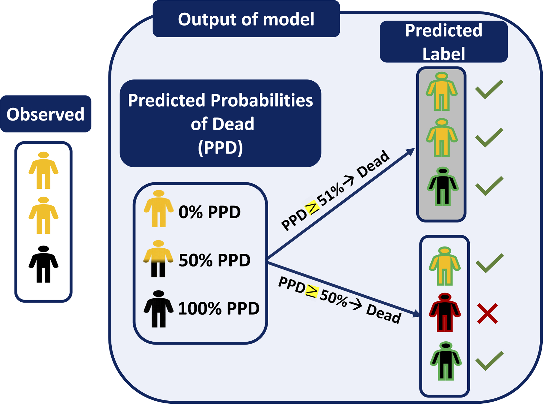 Figure 1B: