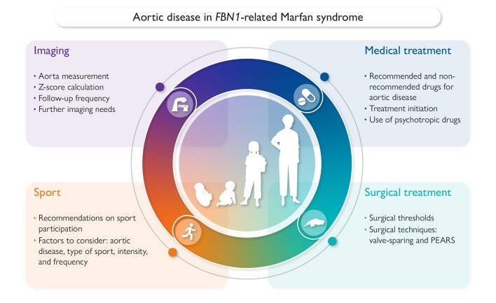 Graphical Abstract