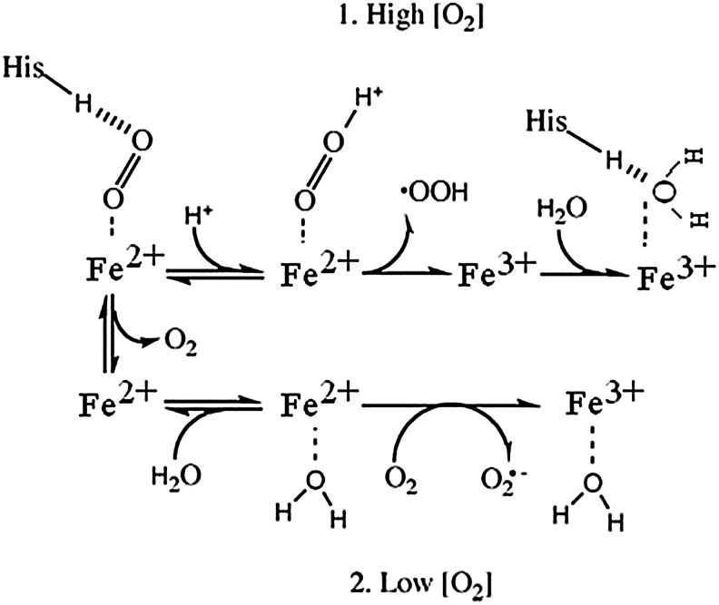 FIG. 7.