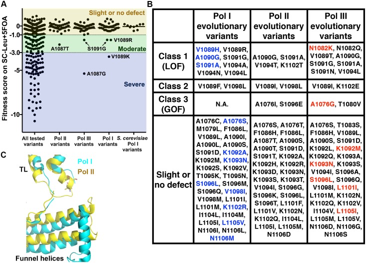 Fig 7