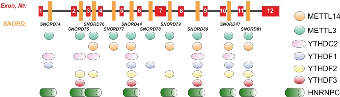 Figure 10