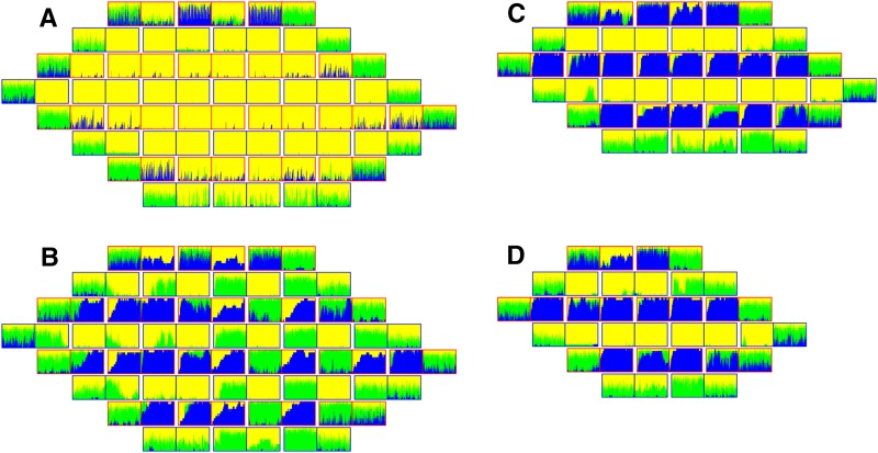 Figure 5.