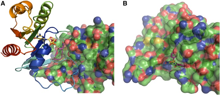 Figure 9.