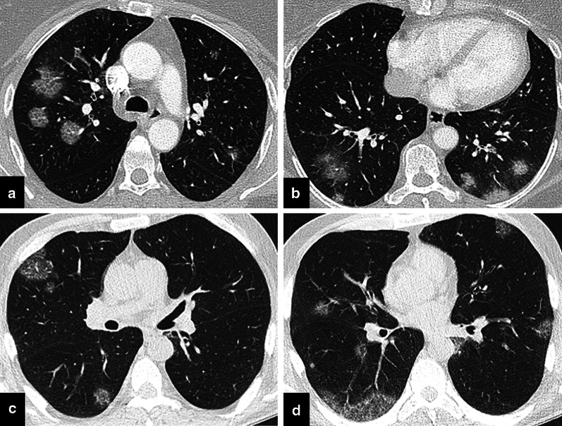 Fig. 8