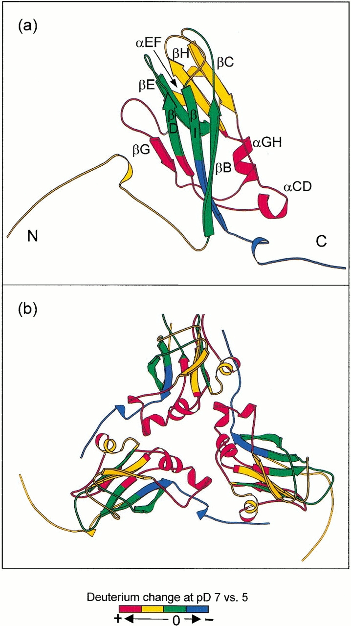 Fig. 7.