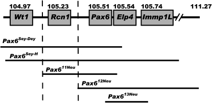 Figure 4.—