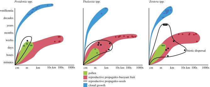 Figure 2.